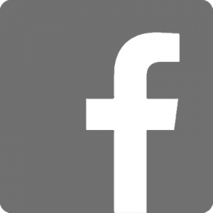 logo facebook gris